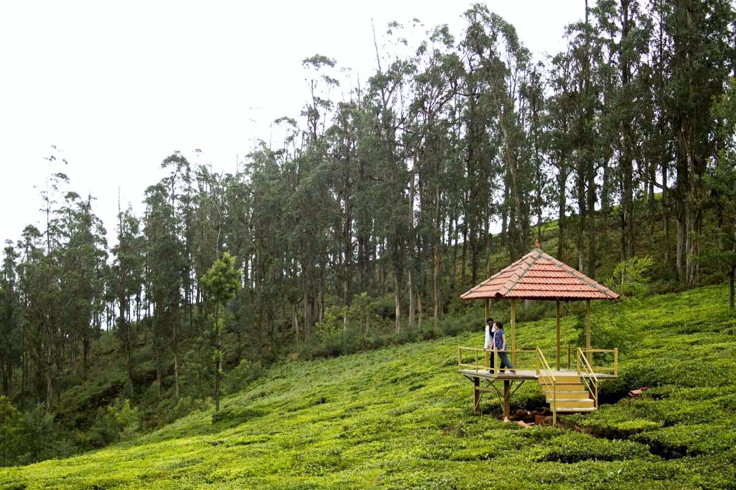 Green Nest Resort Ooty Котагири Экстерьер фото