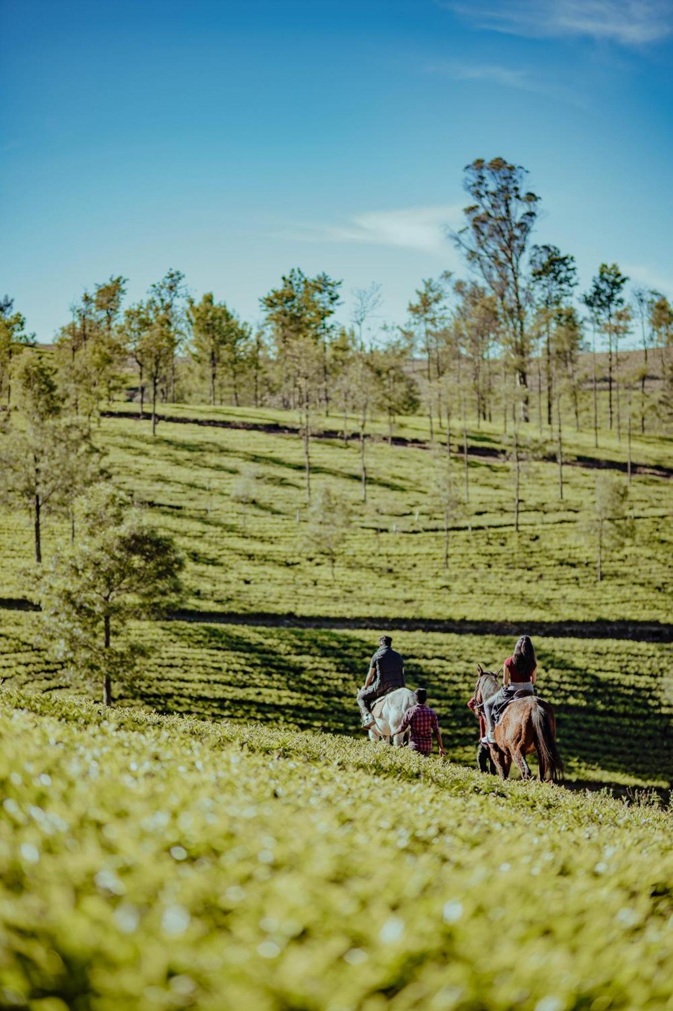 Green Nest Resort Ooty Котагири Экстерьер фото
