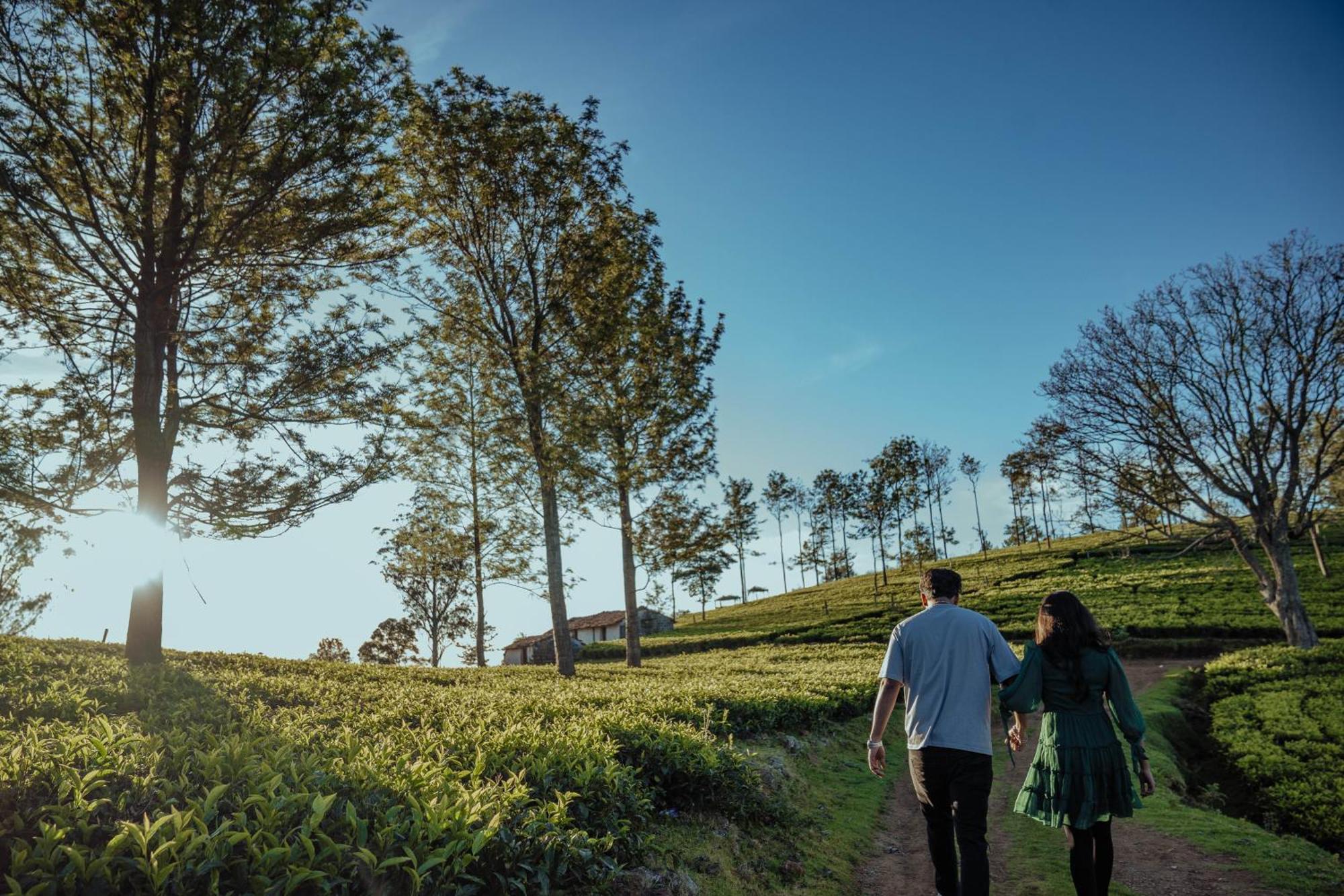 Green Nest Resort Ooty Котагири Экстерьер фото