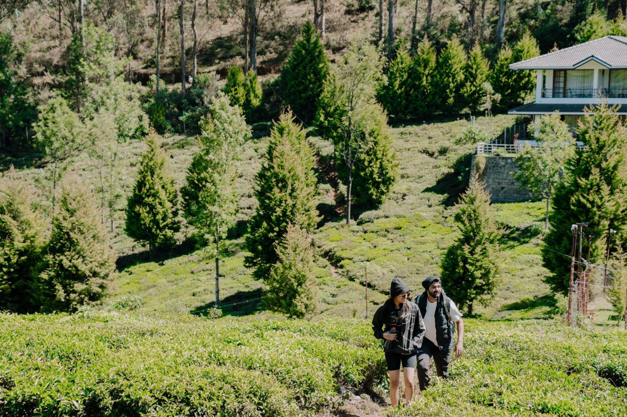 Green Nest Resort Ooty Котагири Экстерьер фото