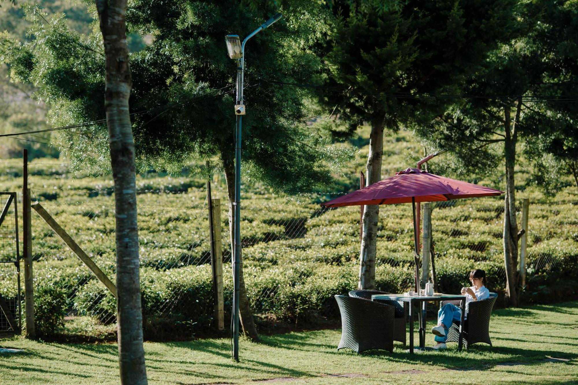Green Nest Resort Ooty Котагири Экстерьер фото