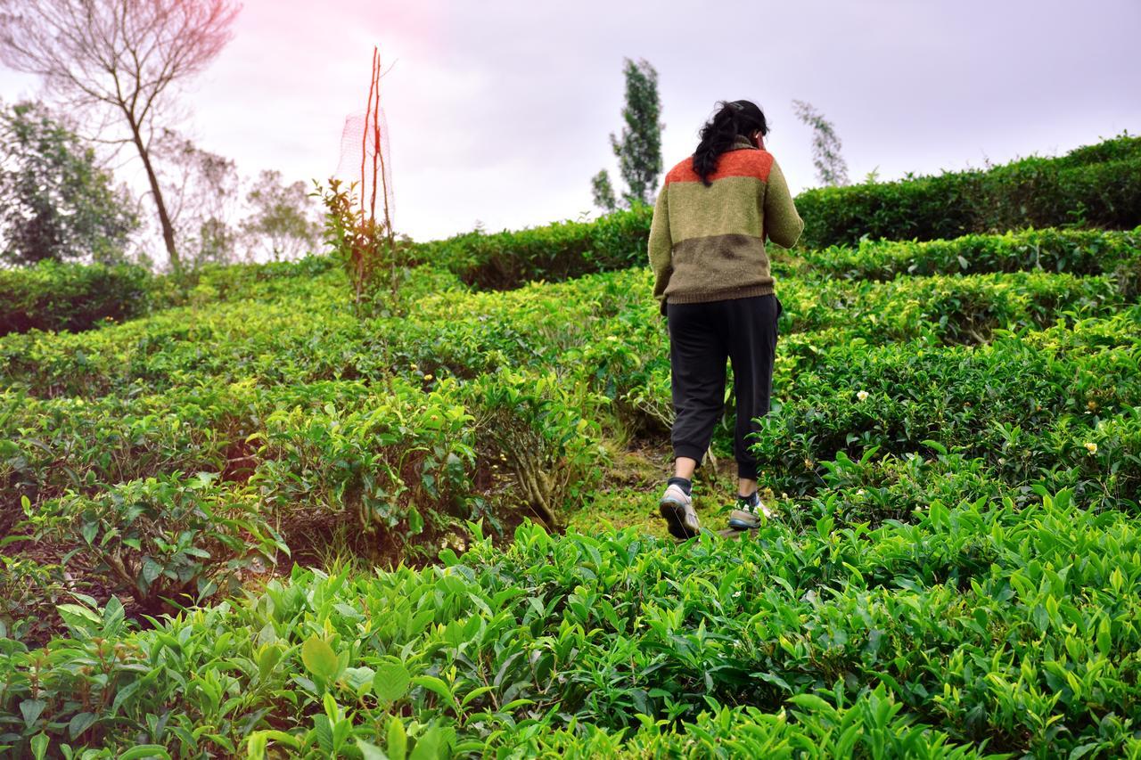 Green Nest Resort Ooty Котагири Экстерьер фото